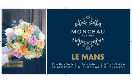MONCEAU